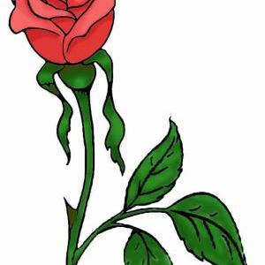 A Rose Is A Rose Clear Stamp