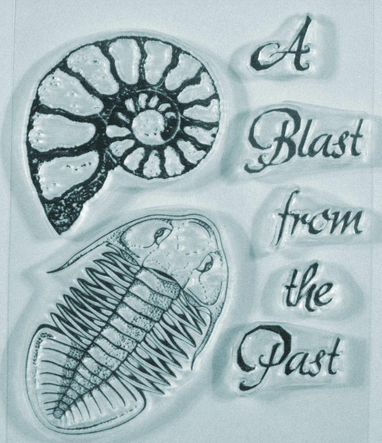 Adventure Series A Blast From The Past Clear Stamps With Trilobite And Ammonite